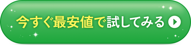 限定価格でお得に試してみる